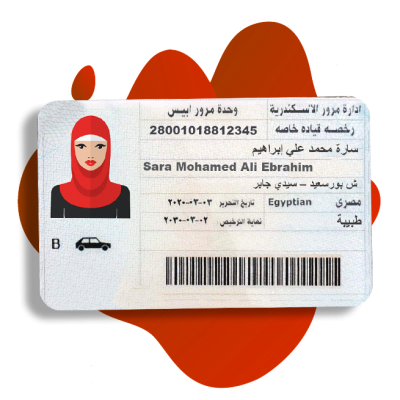 verifave egyptian driving licence verification